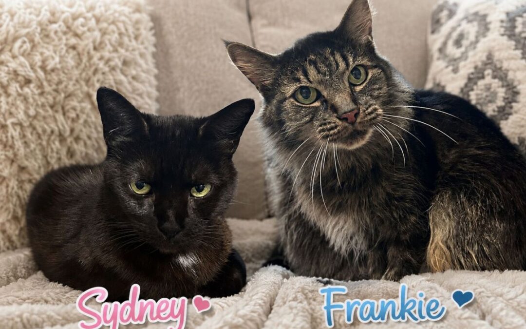 Frankie & Sydney