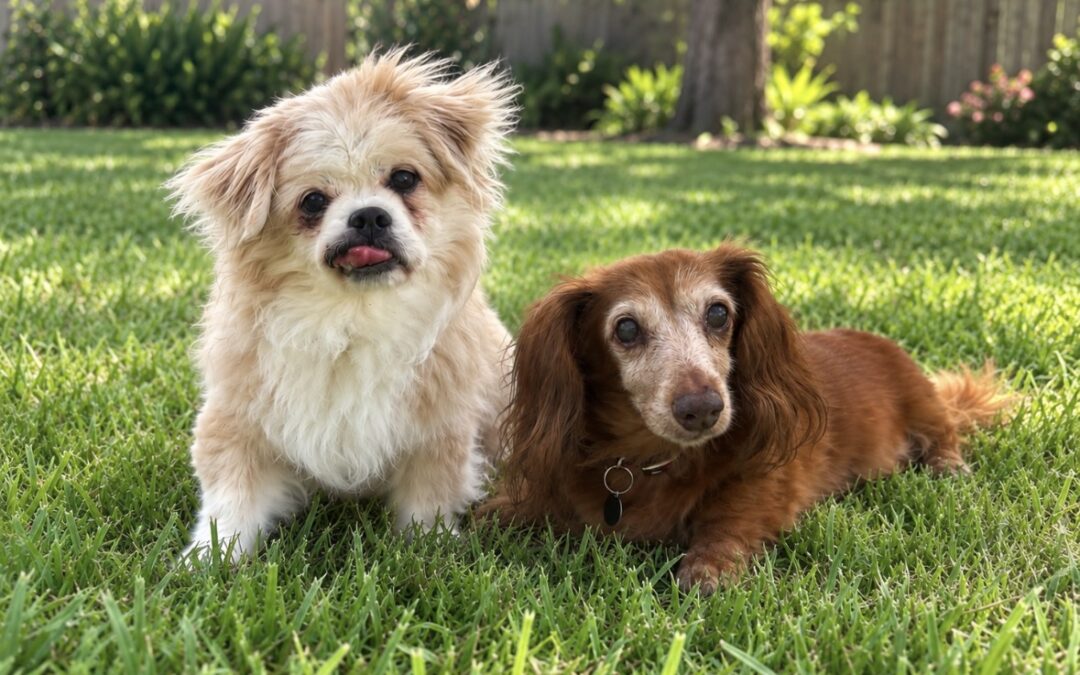 Jordan & Missy