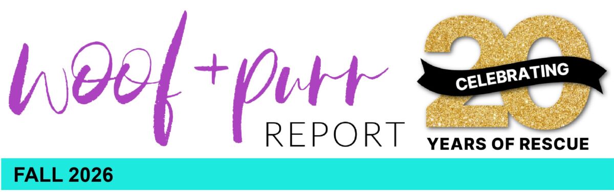 Fall Newsletter 2026 - Banner