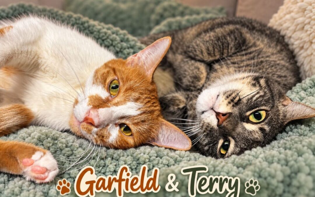 Garfield & Terry